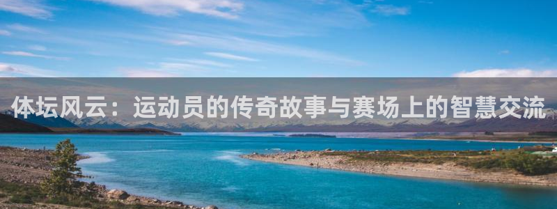 风速体育官网
