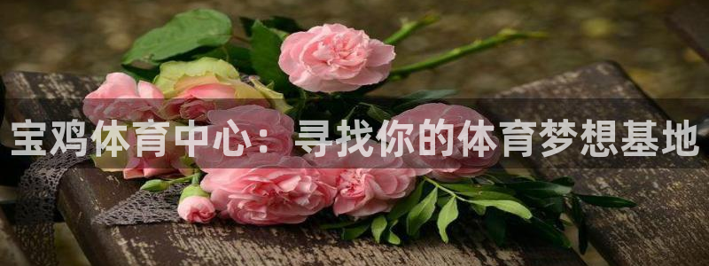 风速体育直播app：宝鸡体育中心：寻找你的体育梦想基地