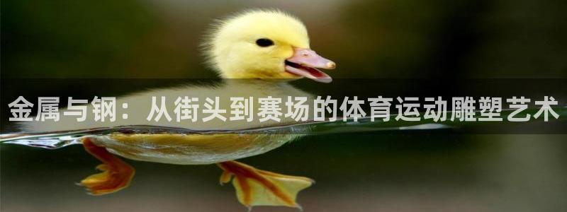 风速体育cba直播：金属与钢：从街头到赛场的体育运动雕塑艺术